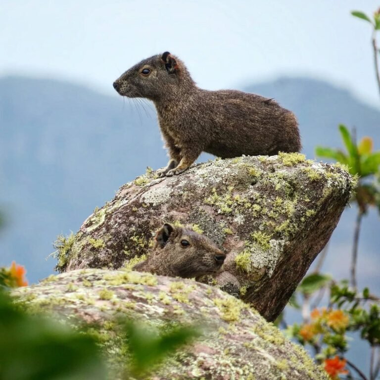 Chapada-Diamantina_Andre-Vieira_ACV-VC_108