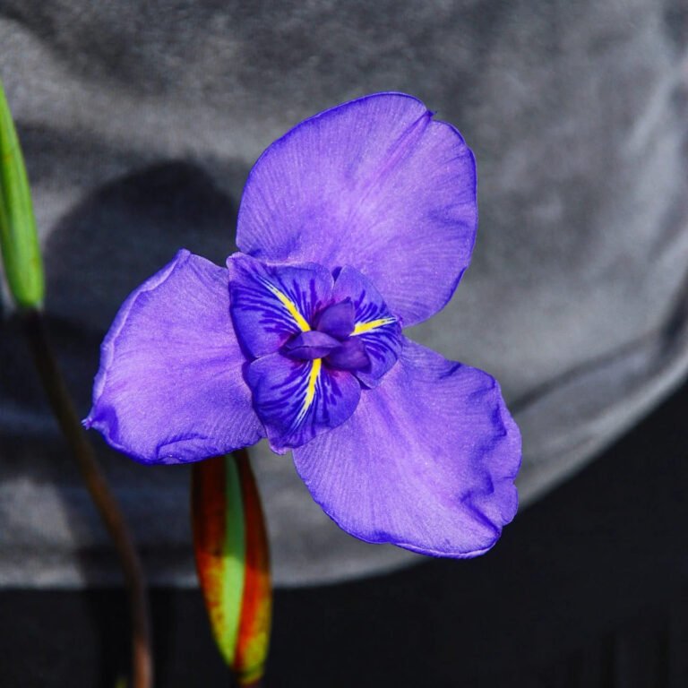 Chapada-Diamantina_Andre-Vieira_ACV-VC_110