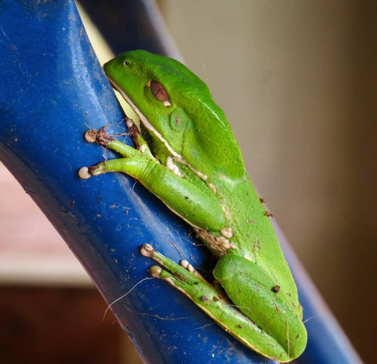 Chapada-Diamantina_Andre-Vieira_ACV-VC_112