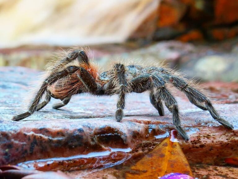 Chapada-Diamantina_Andre-Vieira_ACV-VC_119