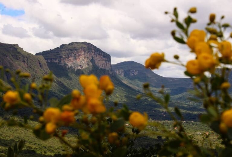 Chapada-Diamantina_Andre-Vieira_ACV-VC_16