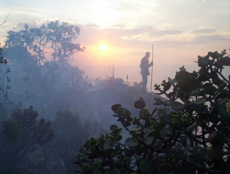 Brigada-Voluntaria_ACV-VC_2_1